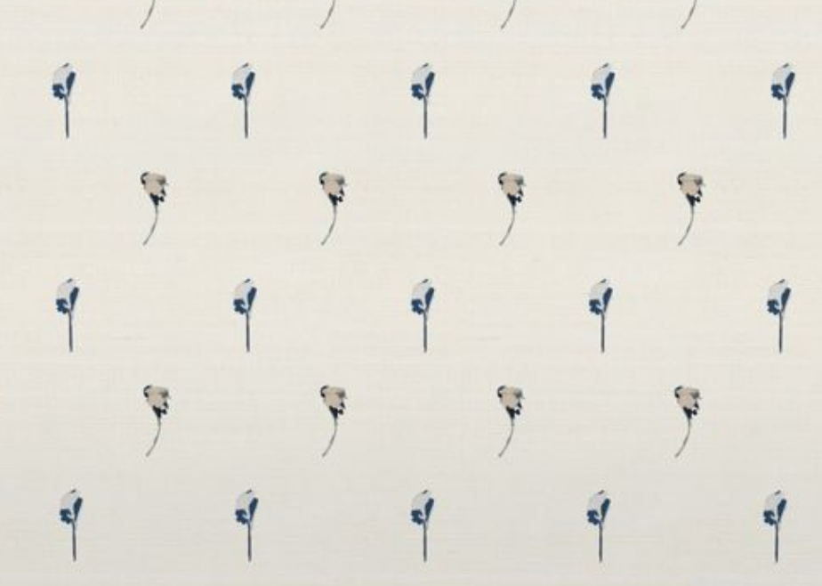 Willow + Wild Sample - Non-pasted - 8.5" x 11"