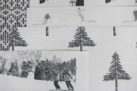 10 Black and White Wallpaper Ski Themed Samples in Grasscloth Bundle
