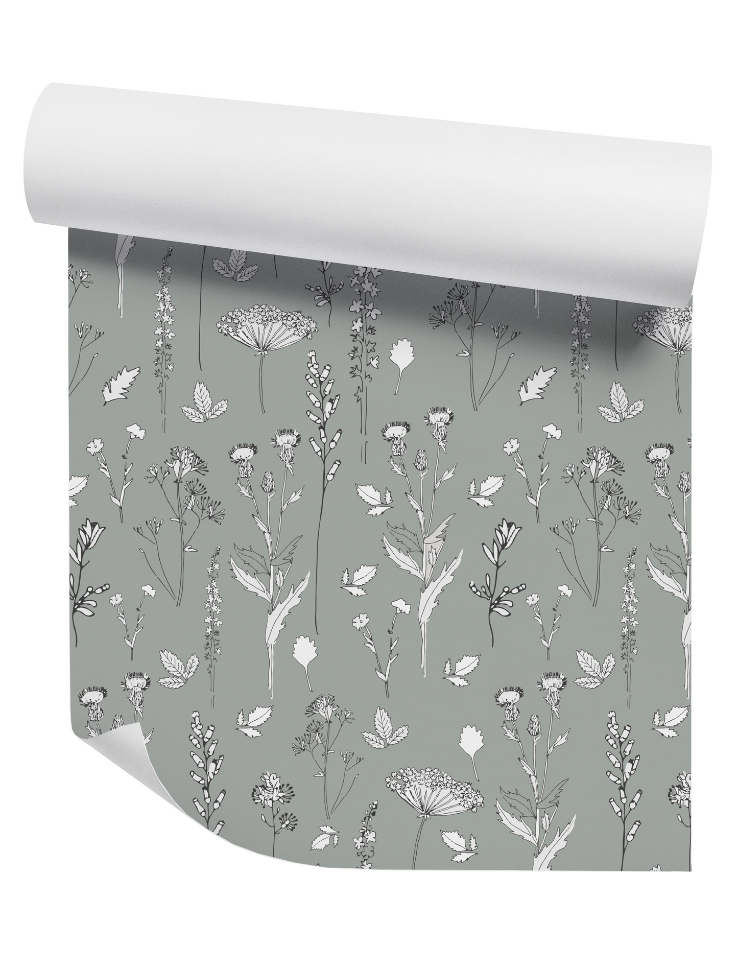 Nature Study on Sage Wallpaper