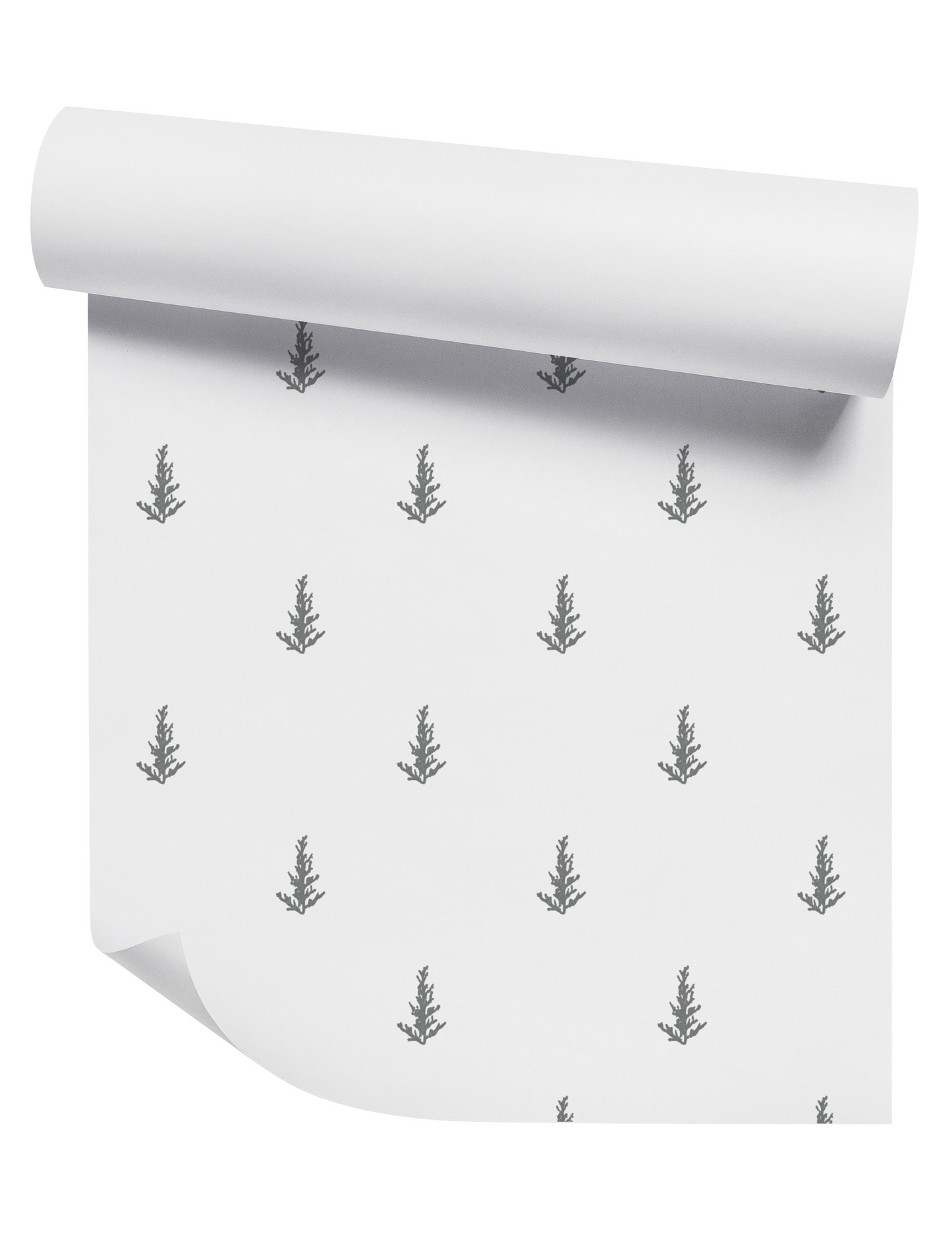 Willow + Wild Non-Pasted Wallpaper Roll 26" x 24'