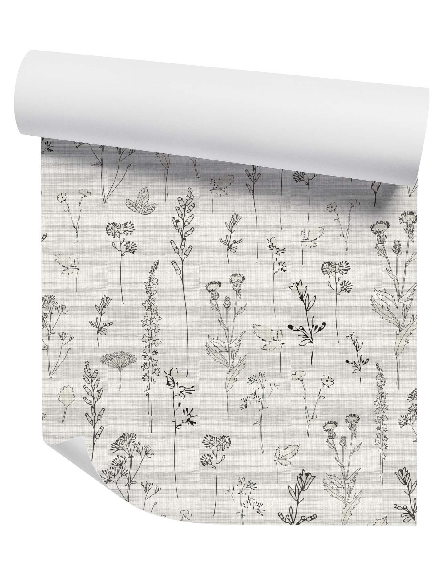 Nature Study on White Wallpaper