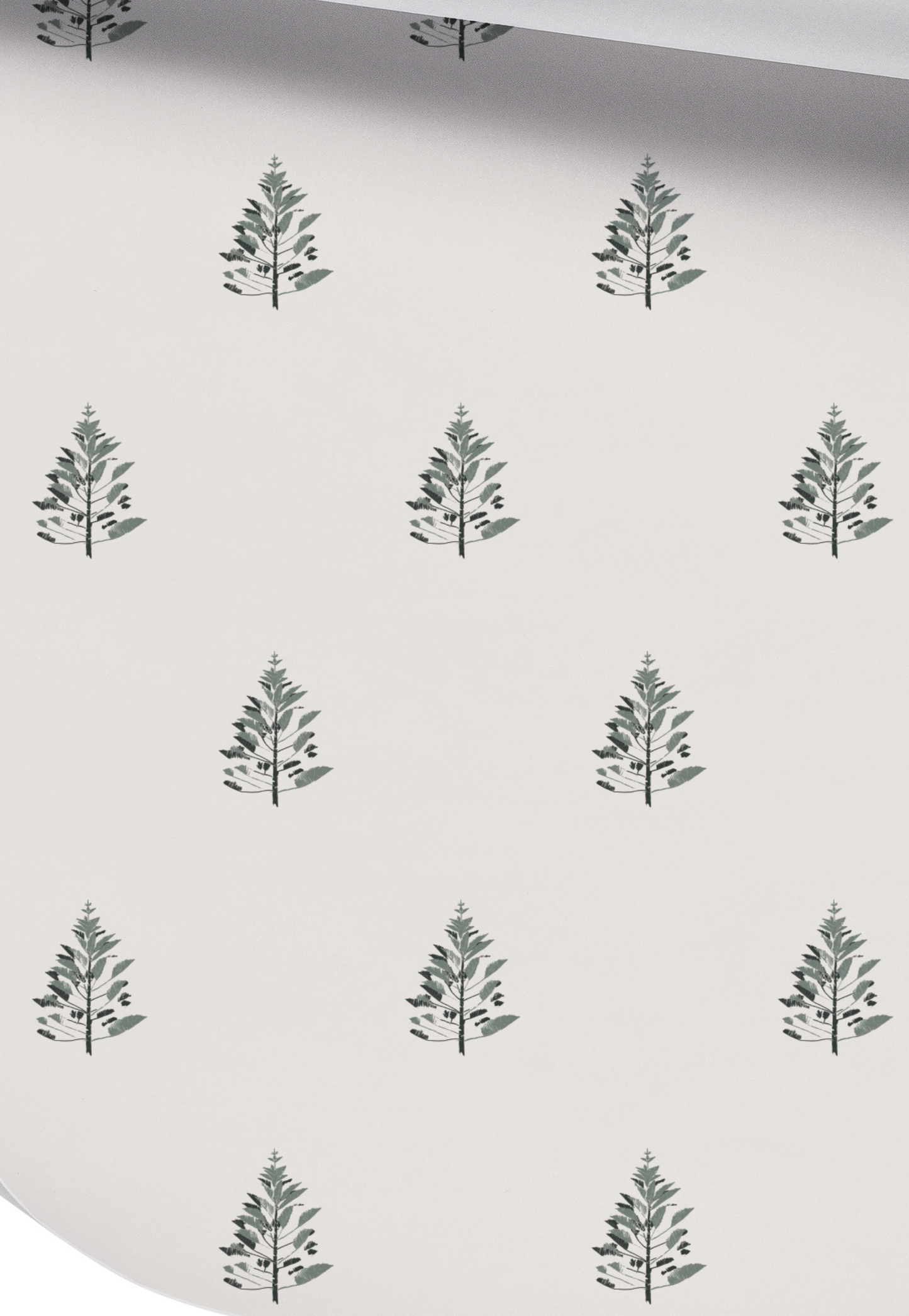 Norfolk Pine Delicate In Olive on Off White Wallpaper