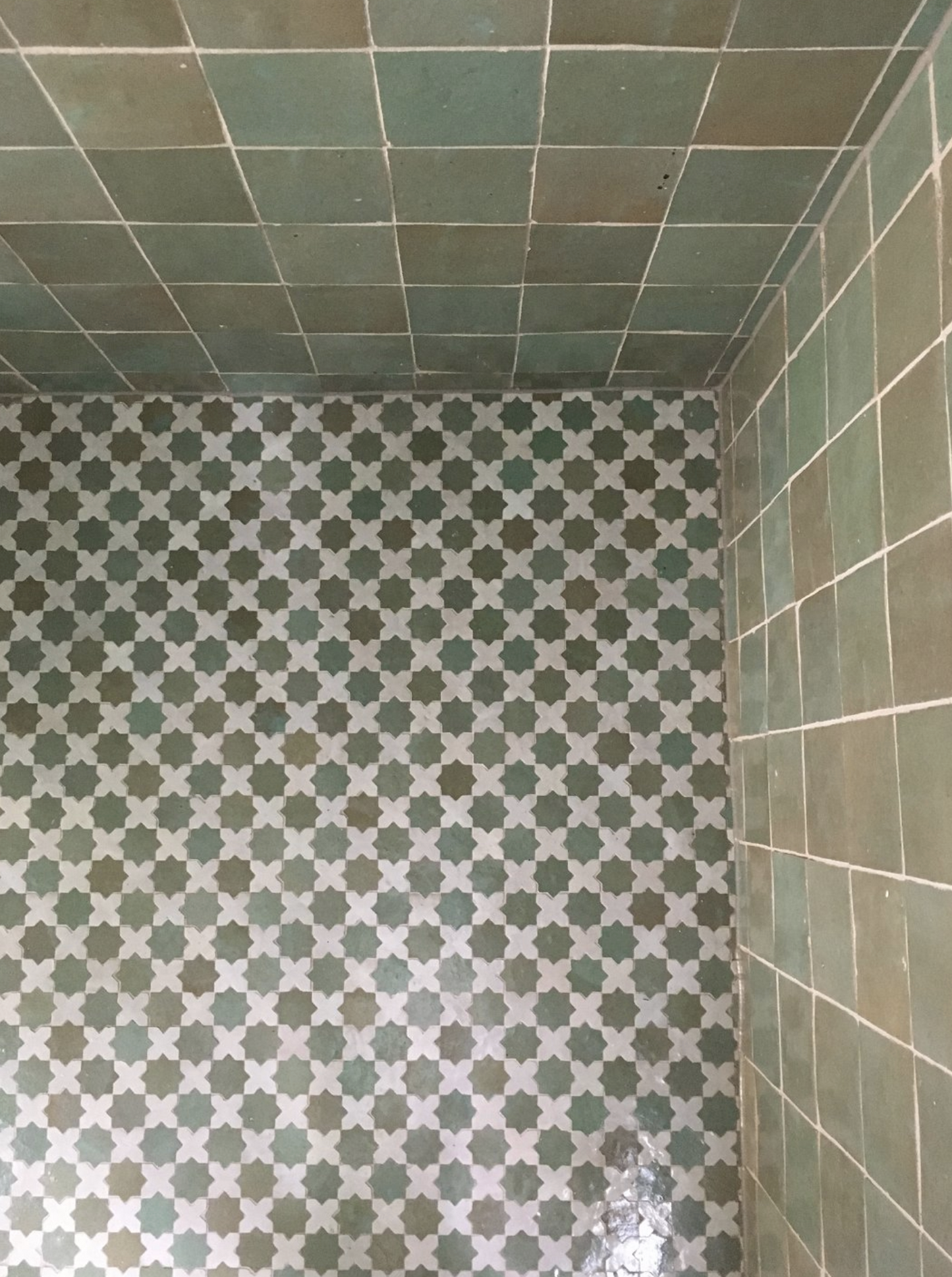 EZR0192 Mosaic Tile in the Perfect Green