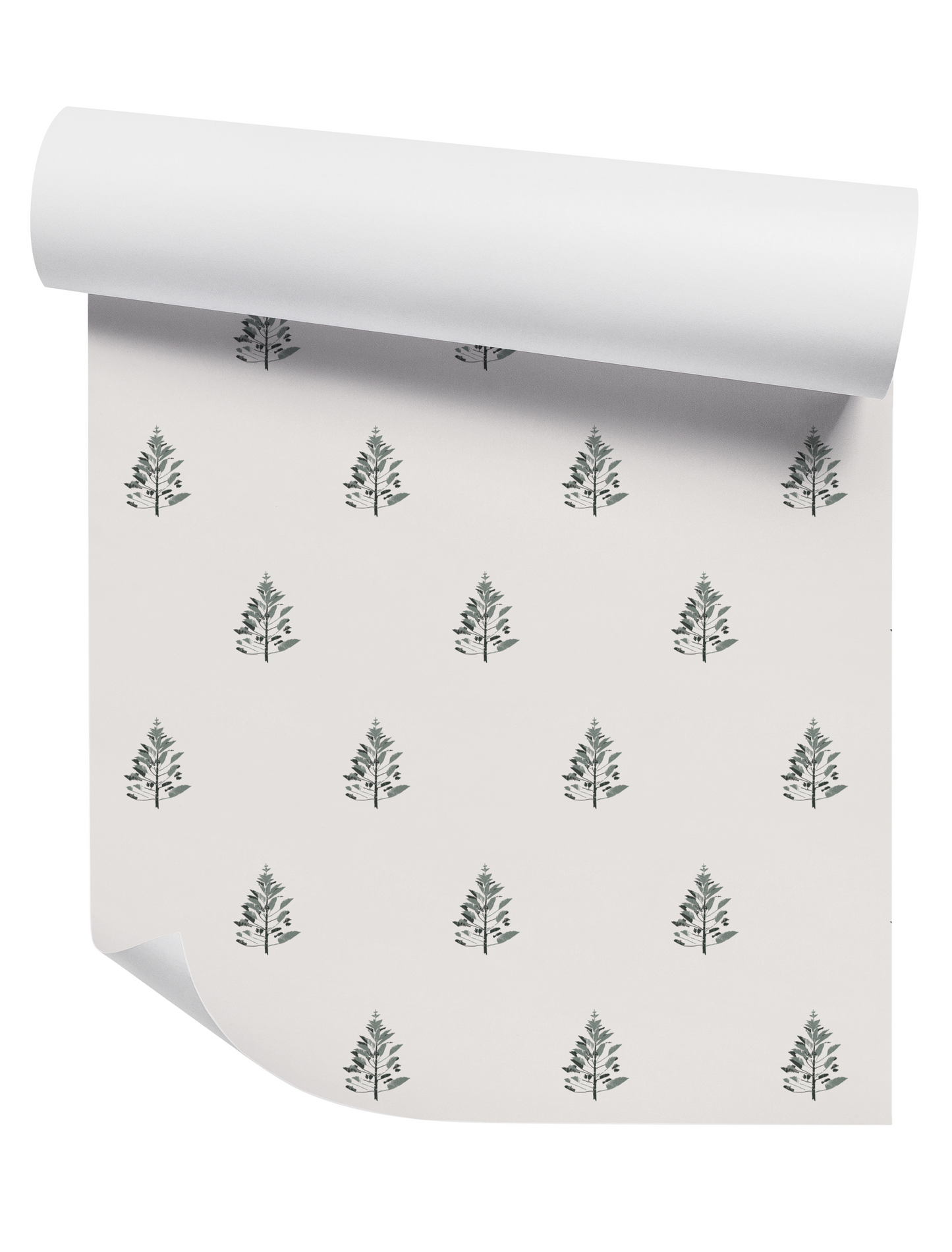 Norfolk Pine Delicate In Olive on Off White Wallpaper