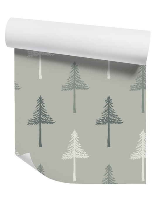 Willow + Wild Pine Tree Sage Blend on Sage Grasscloth Wallpaper Roll - 32" x 22'