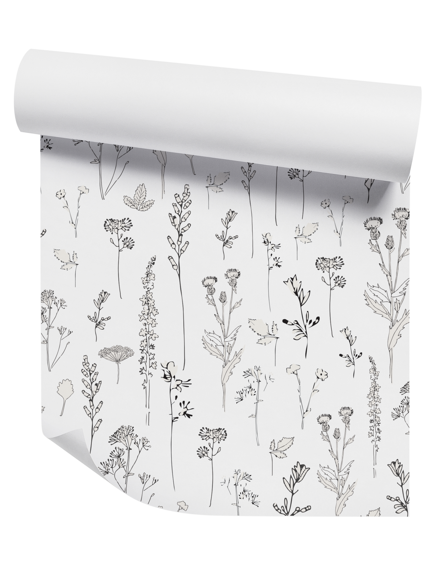 Nature Study on White Wallpaper