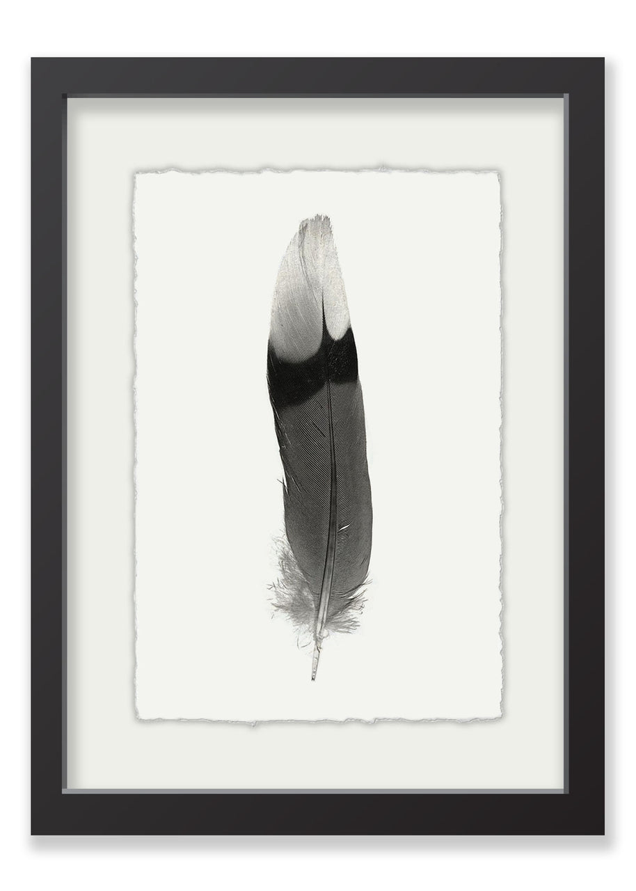 Willow + Wild White Paper - Linen Toned Mat - Black Frame 15"x20"