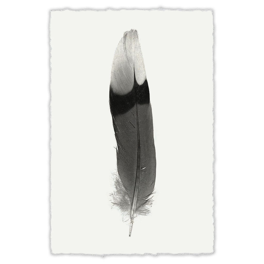Willow + Wild White Paper - White Mat - White Frame 24" x 34"